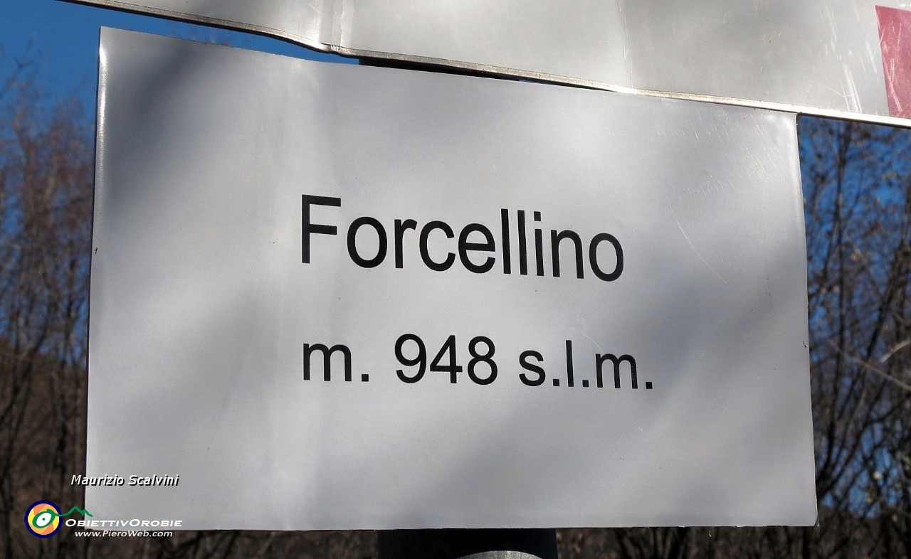 35 Arrivo al Forcellino....JPG